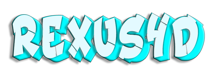 REXUS4D